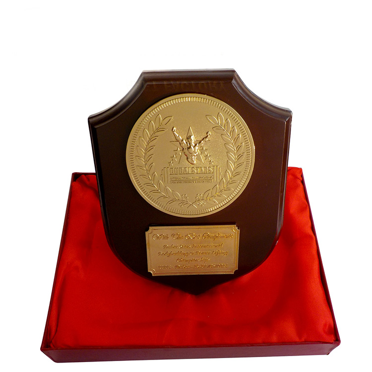 Dubai Stars Shield Trophy Plaque