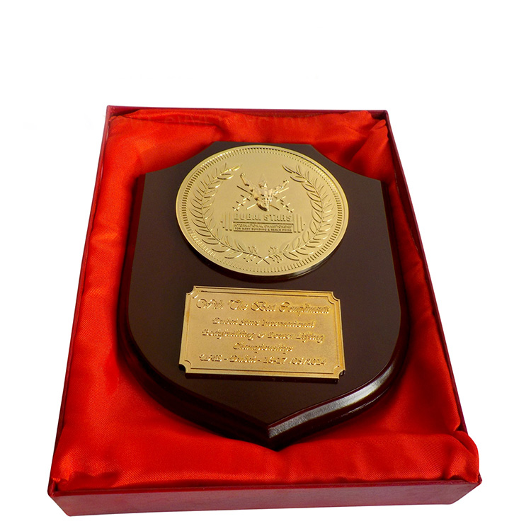 Dubai Stars Shield Trophy Plaque